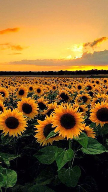 Kaykay Full OnlyFans header