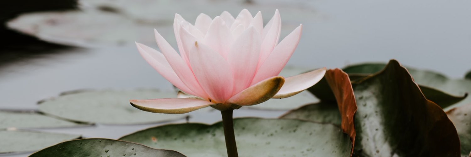 Yutta90 OnlyFans header