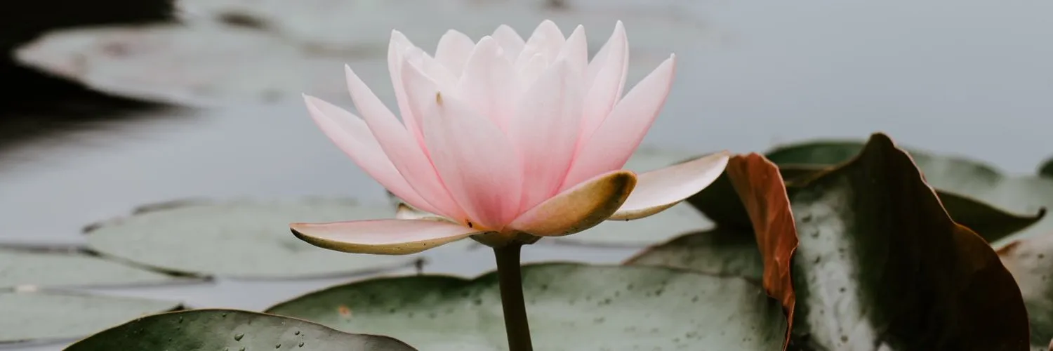 Yutta90 OnlyFans header