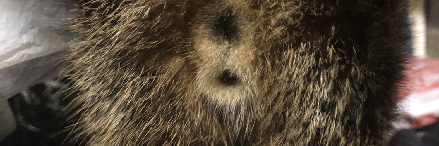 湯たんぽ OnlyFans header