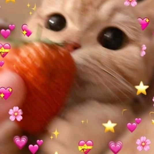 Yuu Hojou OnlyFans header