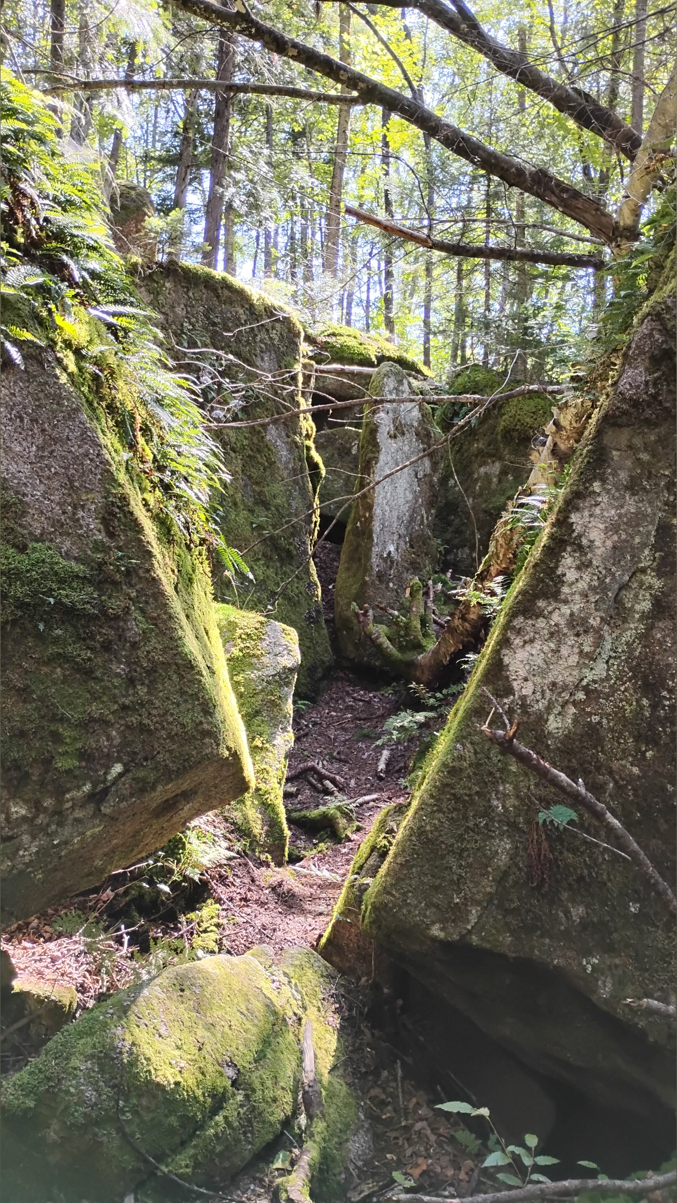 Yvan OnlyFans header