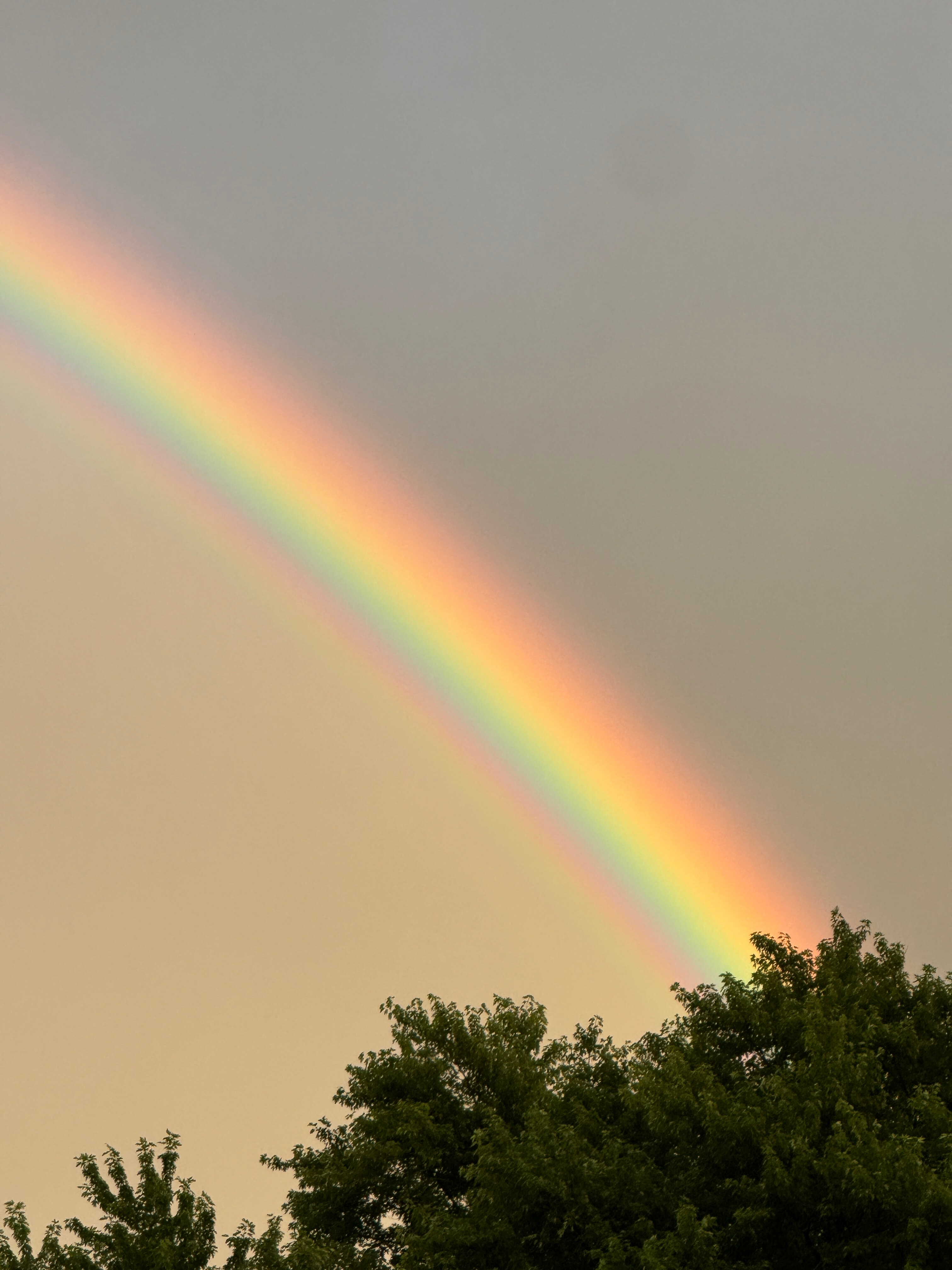 Andromeda OnlyFans header