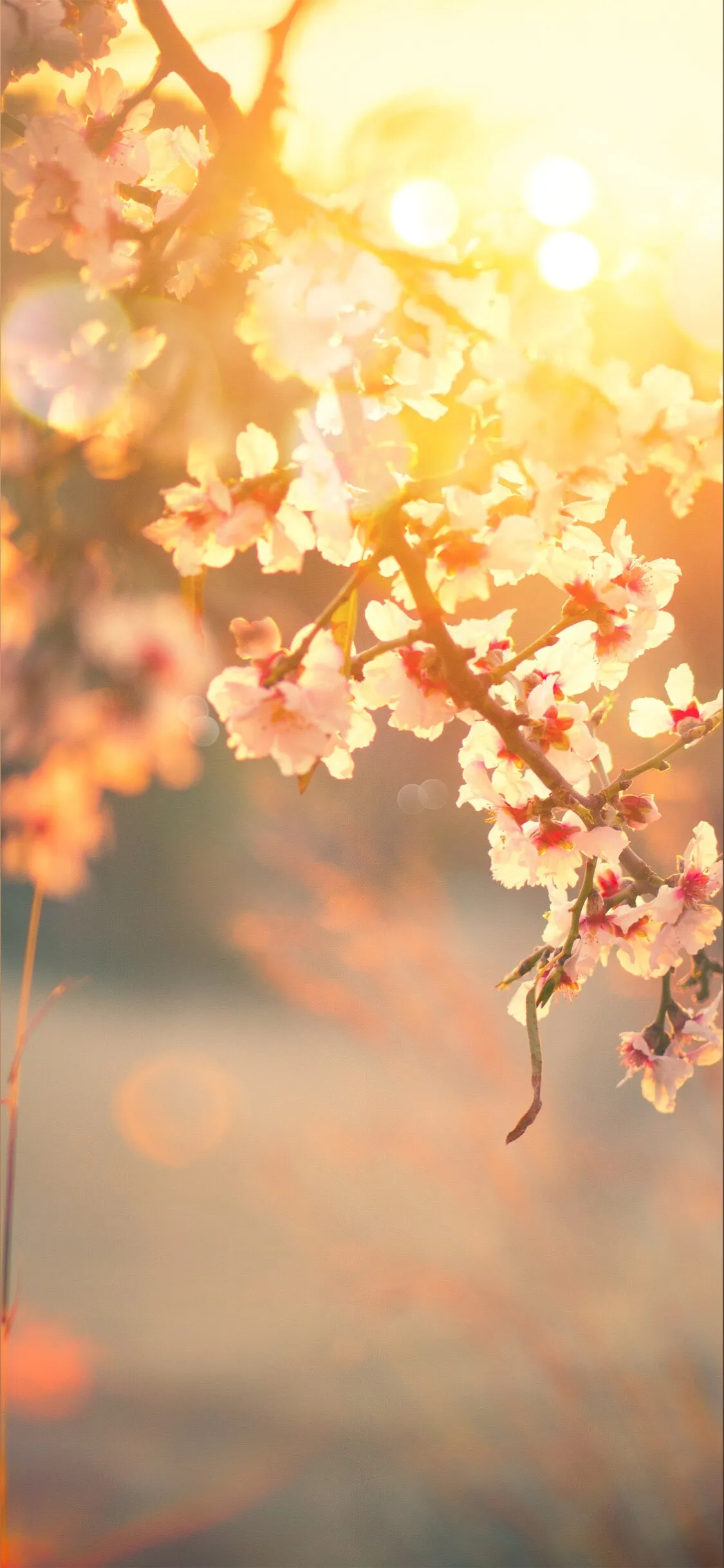 Yveline OnlyFans header