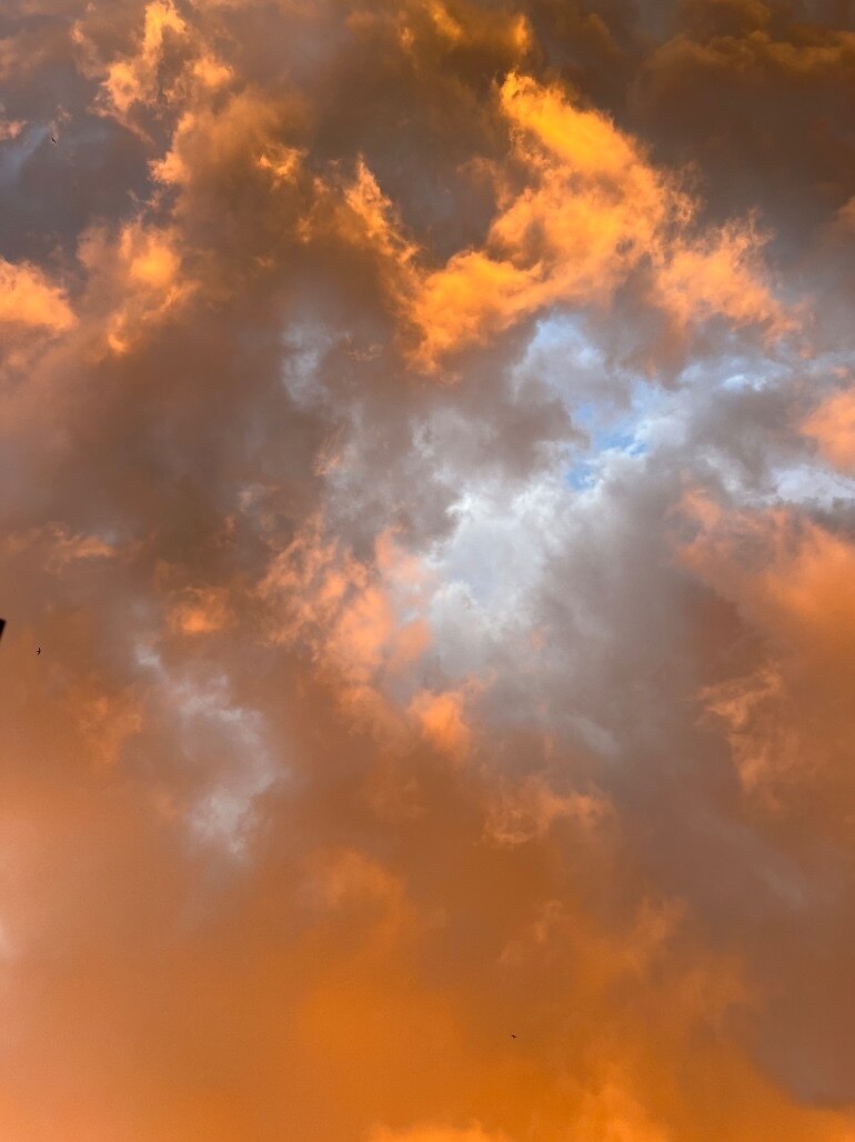 Yves OnlyFans header