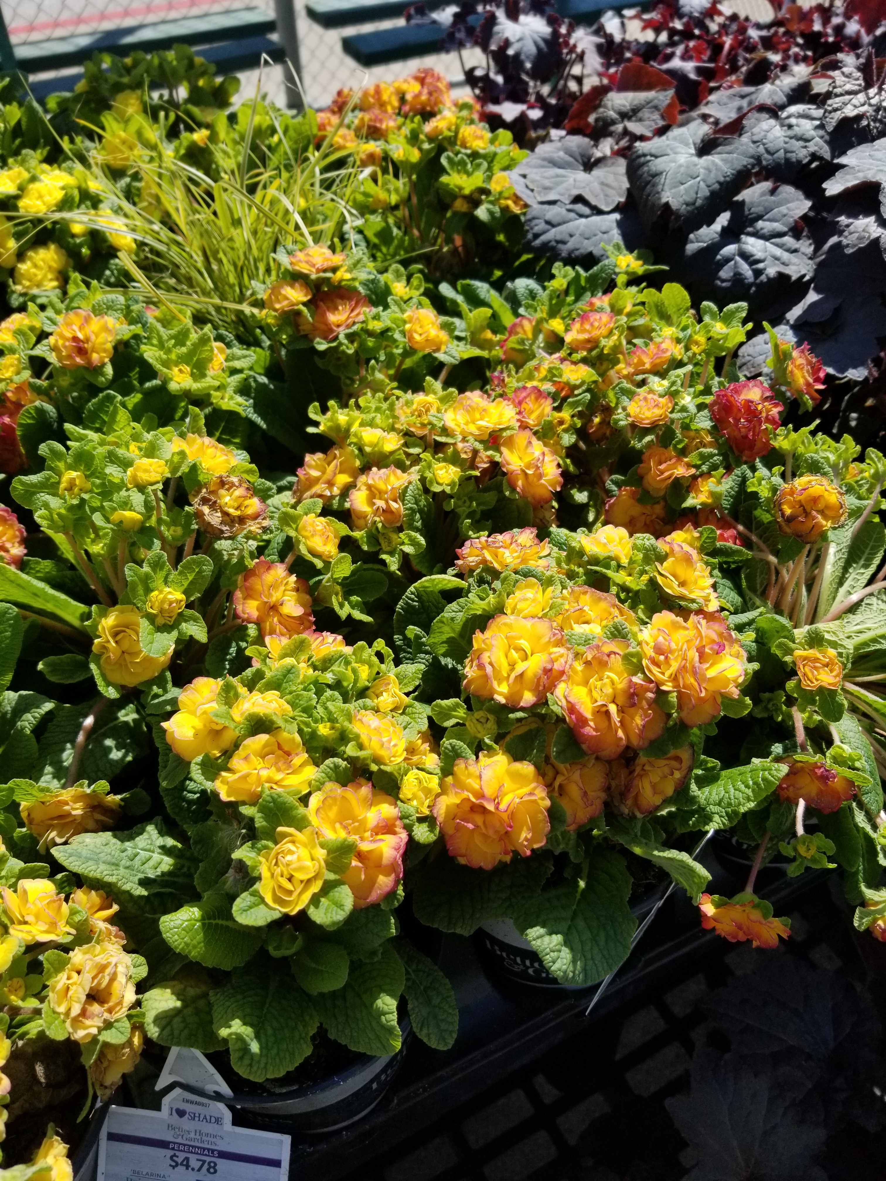 Yvonne2094 OnlyFans header