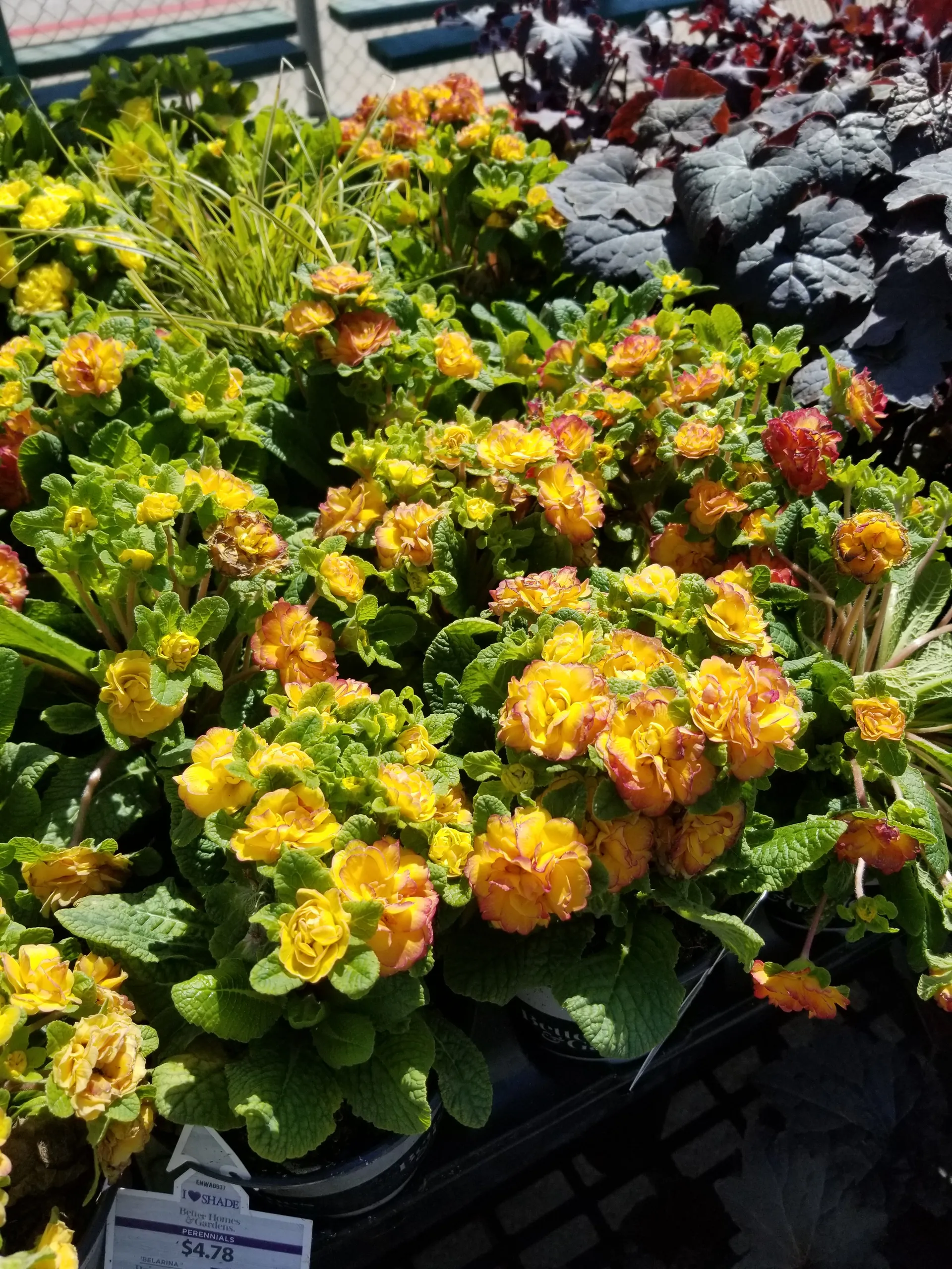 Yvonne2094 OnlyFans header