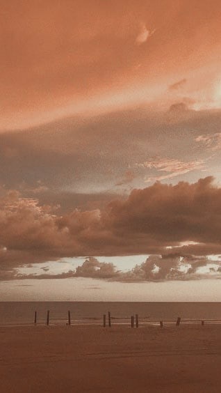 💛 OnlyFans header