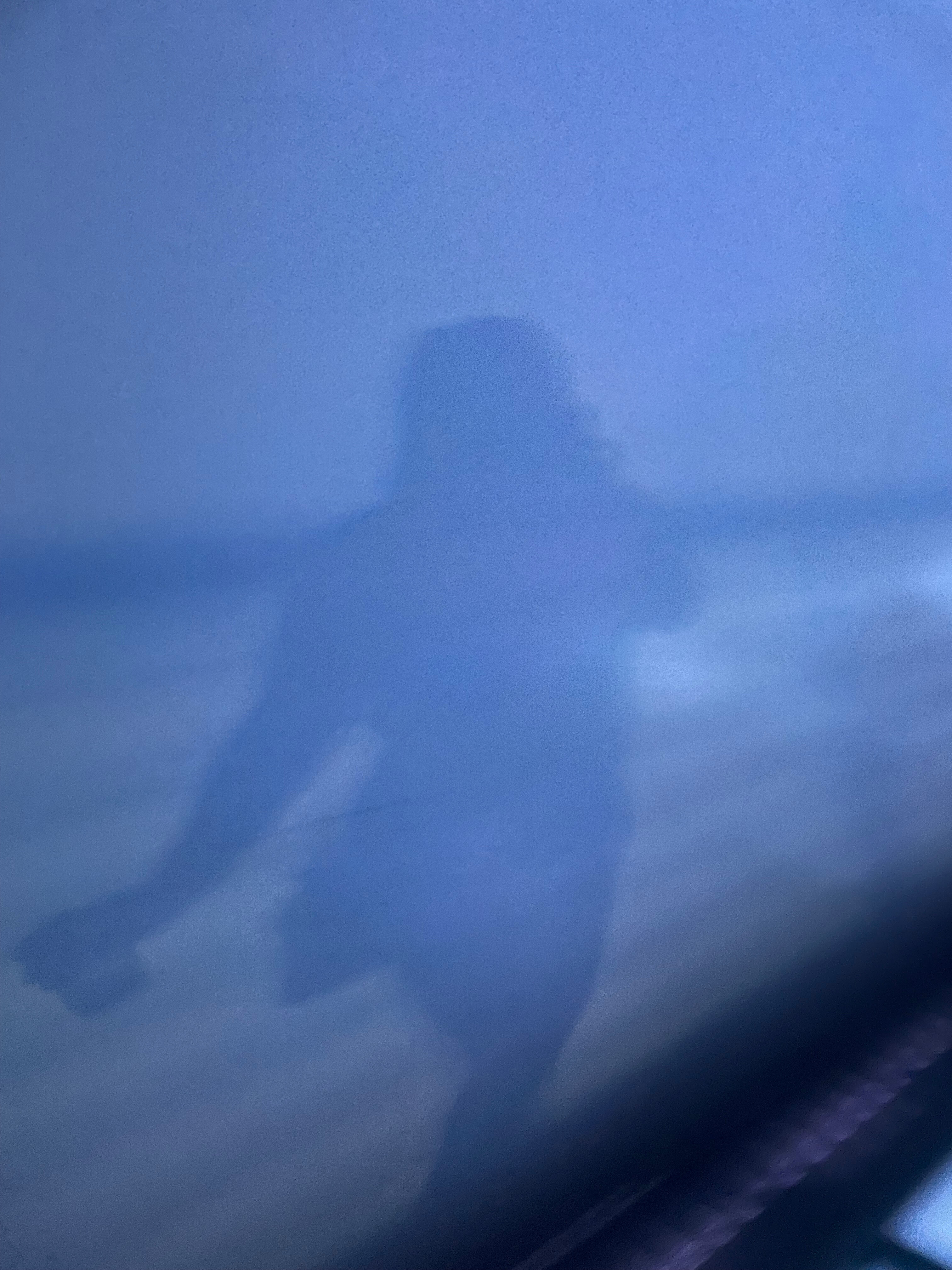 Jasmine 🍉 OnlyFans header