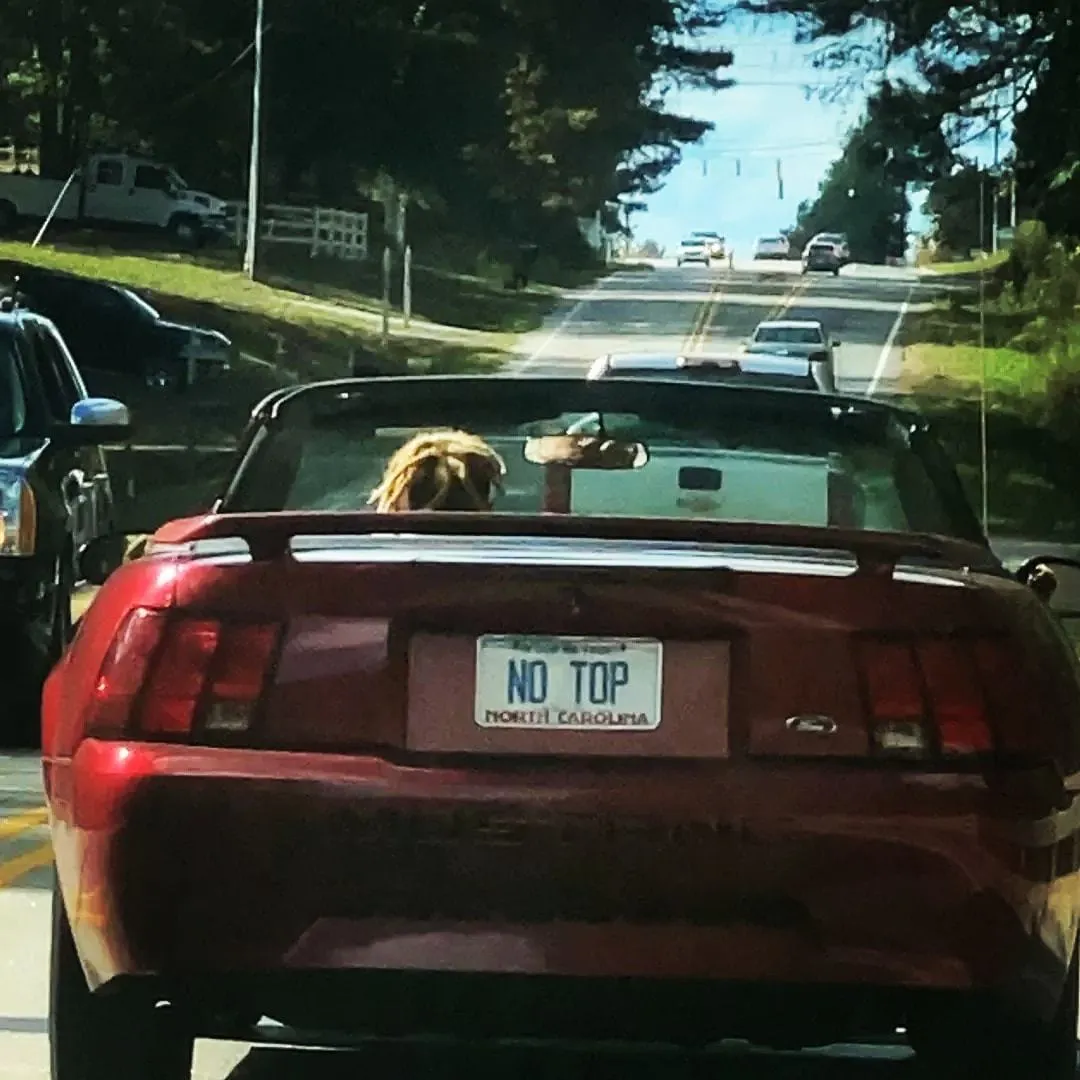 YZ_TTG_ENT OnlyFans header