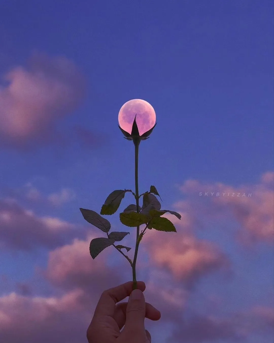 Yzma Krunk OnlyFans header