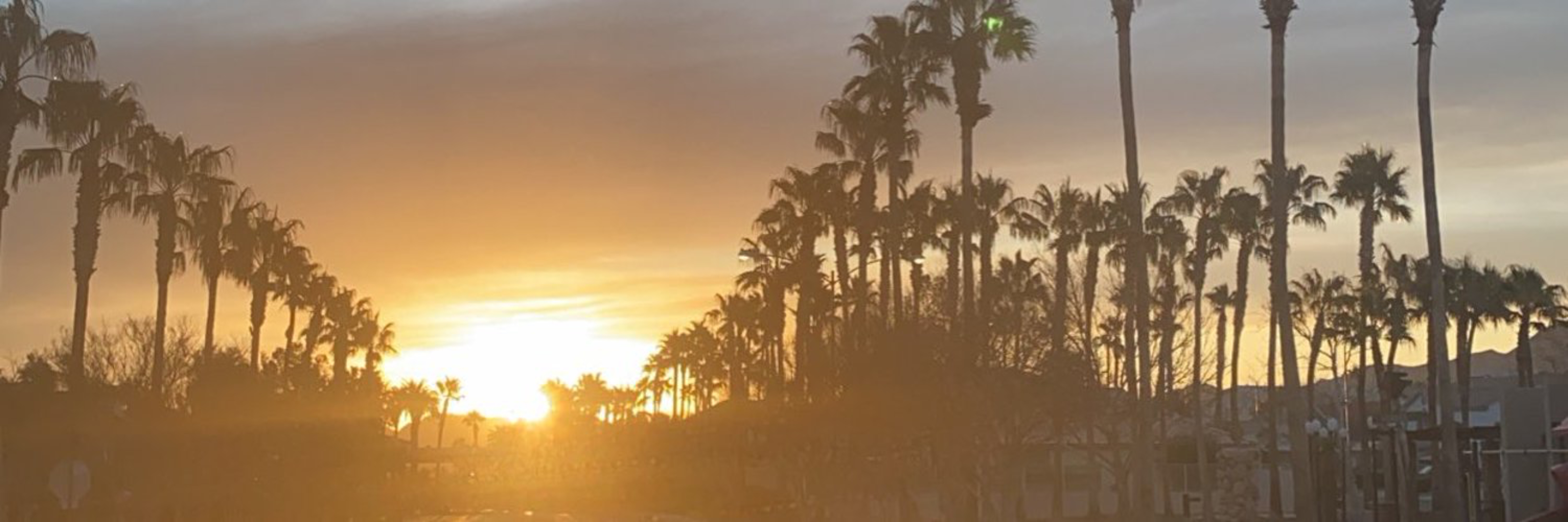 Zane Walker OnlyFans header